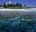 le snorkeling en france : randonnée palmée, randonnée subaquatique ou balade aquatique