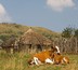 fair trade in tourism - une certification pour reconnaître les établissements équitables en afrique du sud