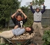 wwoofing & woofing : les vacances écolo et gratuites