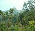 vieng phoukha - projet d'écotourisme communautaire au laos