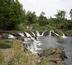 ecotourisme au sud du cameroun : chutes de la lobé, parc national de korup et mont cameroun