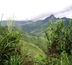 ecotourisme au laos : développement et tourisme