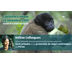 protection des singes au pérou avec hélène collongues, accompagnatrice de l'agence escursia