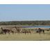 vacances en argentine - informations clés pour voyager en argentine