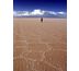 terra andina, agence de voyage francophone sur mesure en bolivie