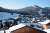 Perles des Alpes