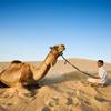 LES AVENTURIERS DES SABLES - F