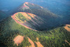 Parc des Volcans d'Auvergne : 