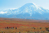 Les volcans du Kamtchatka