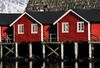 Fjords de Norvège et îles Lo