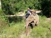 Un éléphant, ça trompe... l
