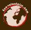 eco-volontaire.com