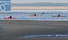 Séjours Zéro Carbone en baie de Somme : Treks & Découvertes Nature
