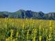 Rando forme La Bourboule, massif du Sancy
