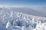 Action Cocon et Flocons : au Québec en hiver