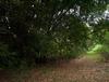 Sud du Benin - Forêts de la L