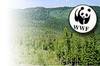 Gites Panda