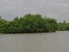 Ecotourisme au Benin