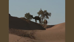 trek a travers dunes et canyons