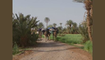oasis et villages de tazzarine