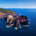 balades, baleines et hortensias