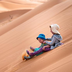les petits caravaniers