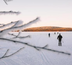 lacs et for�ts de kainuu