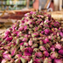 les roses du m'goun