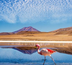 les deserts des andes (confort)