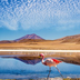 les deserts des andes (confort)