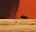 le tour de namibie 15j