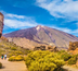 tenerife, l'eternel printemps