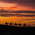la caravane du desert