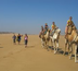 au coeur du desert blanc