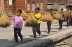 métropoles chinoises et paysages d'estampes