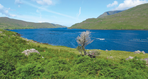 le grand ouest irlandais