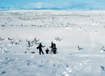 norvège, hauts plateaux de lillehammer enneigés