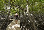 la martinique, les traces de midinina