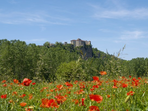 les bastides albigeoises