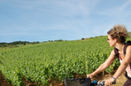 voie verte et vignoble de bourgogne à vélo
