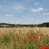 bourgogne - d'avallon à vézelay