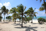 zanzibar, lagons et romantisme à pongwe beach