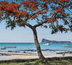 villa privée et instants exclusifs à l'ile maurice