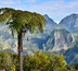 réunion / maurice : le duo idéal