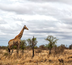 blyde river canyon et parc kruger