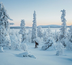 plaisirs d'hiver à ylläs humina