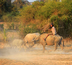 duo laos-cambodge