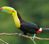 circuit toucan : entre deux mers