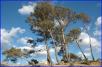 roques hautes - pays d'aix