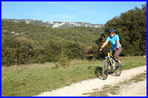 les grands vallons  - pays d'aix